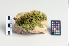 Foto von Pyromorphit (NHMW-MIN-Ad42)